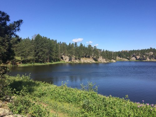 A serene lake surrounded by lush greenery and tall trees under a clear blue sky.