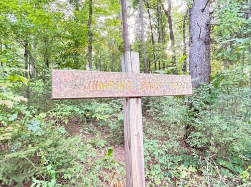 Wooden sign for "Jumping Bass Trail" surrounded by lush green trees in a forest setting.