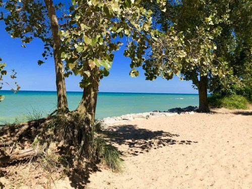 A serene beach scene with sandy shore, green trees, and calm blue water under a clear sky.