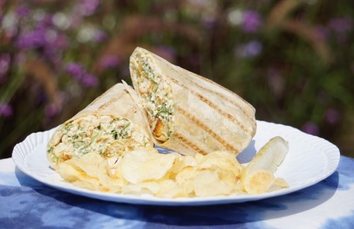 A grilled wrap filled with chicken and greens, served with a side of potato chips on a white plate.