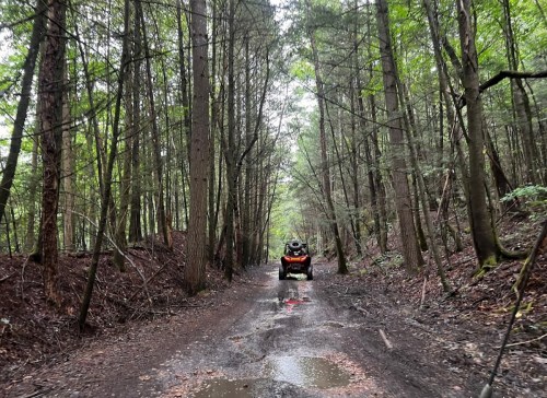 A person riding an ATV down a muddy forest trail surrounded by tall trees.