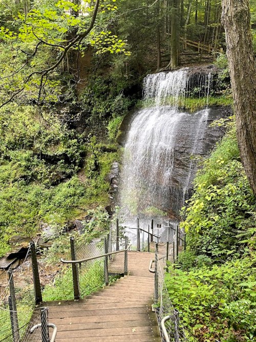 A serene waterfall cascading down rocks, surrounded by lush greenery and a wooden pathway leading to it.