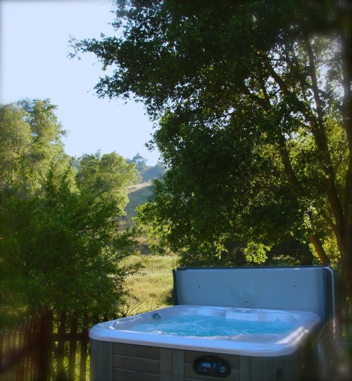 A hot tub surrounded by lush greenery and trees, with a serene landscape in the background.