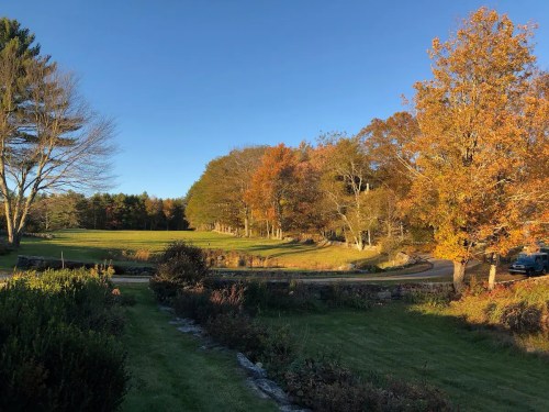 A serene landscape featuring colorful autumn trees, a winding road, and a clear blue sky.