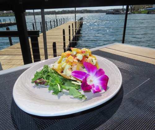 A plate of seafood topped with mango salsa, garnished with a purple orchid, with a scenic waterfront view in the background.