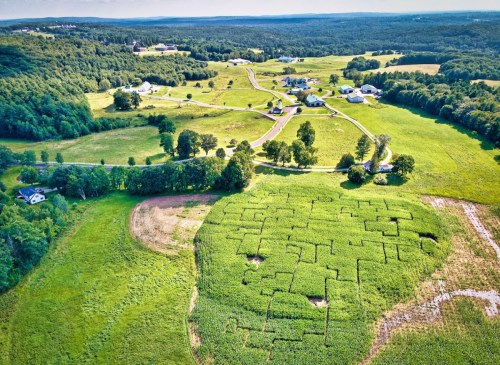 Aerial view of a rural landscape with fields, trees, and a maze pattern in the cornfield. Small houses dot the area.