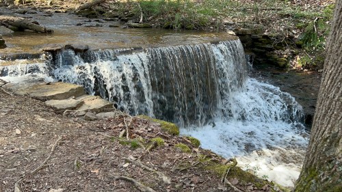 A serene waterfall cascading over rocks in a wooded area, surrounded by greenery and fallen leaves.