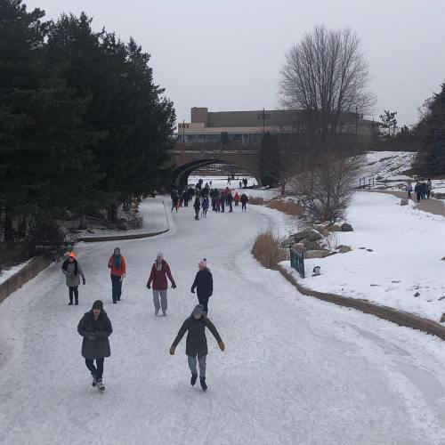 People ice skating on a frozen path surrounded by trees and snow, with a bridge in the background on a cloudy day.