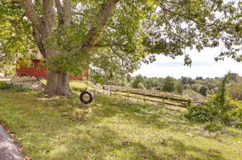 A grassy area under a large tree with a tire swing, overlooking a scenic landscape and a red barn in the background.