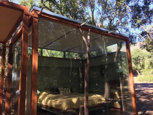 A modern glass cabin surrounded by trees, featuring a cozy bed with yellow bedding inside.