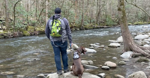A person with a backpack stands by a river, holding a dog's leash as they both look at the water.