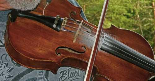 Close-up of a person's hand holding a wooden violin, with lush greenery in the background.