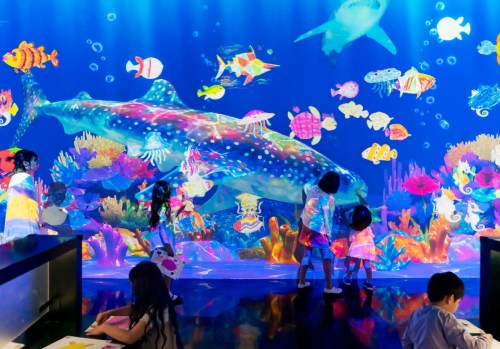 Children explore a vibrant underwater scene with colorful fish and a large whale shark projected on a wall.
