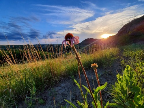 A sunset over rolling hills, with wildflowers in the foreground and a colorful sky filled with clouds.