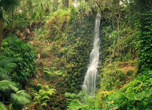 Rainbow-hued waters flow over limestone at Rainbow Springs