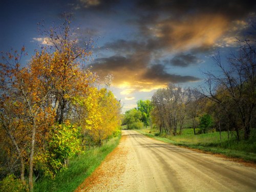 A scenic dirt road lined with trees in autumn colors, under a dramatic sky with clouds at sunset.