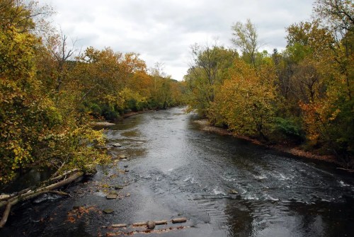 A serene river flows through a forest with autumn foliage, under a cloudy sky.