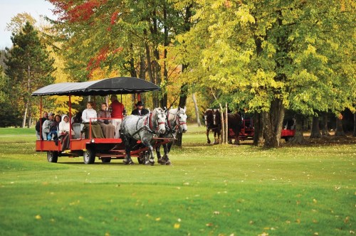 A horse-drawn carriage carries passengers through a colorful autumn landscape with trees and greenery.