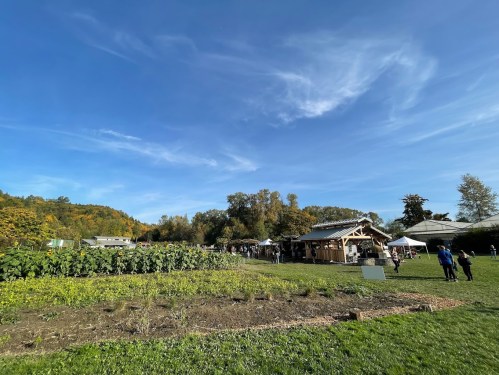A vibrant farm scene with a blue sky, green fields, and people gathered near a rustic building and tents.