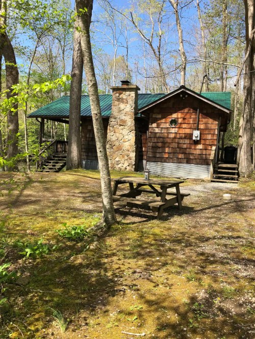 A rustic cabin with a stone chimney, surrounded by trees and a picnic table in a serene, wooded area.