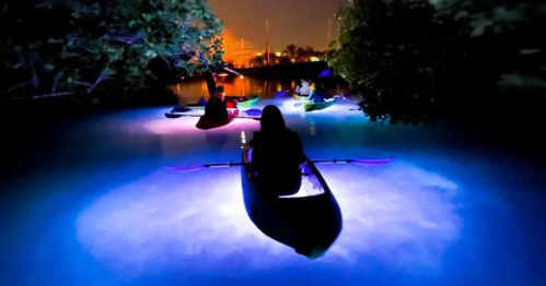 A group of kayakers paddles through glowing waters at night, surrounded by trees and illuminated by colorful lights.
