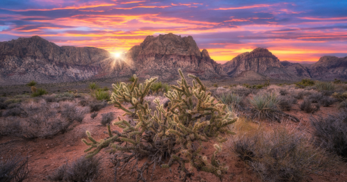 A desert landscape at sunset, featuring mountains in the background and a cactus in the foreground.
