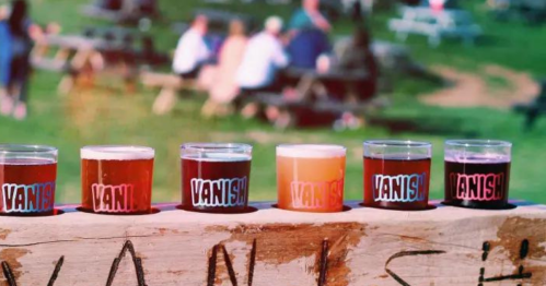 Five glasses of colorful drinks lined up on a wooden table, with "VANISH" printed on each glass. People are blurred in the background.