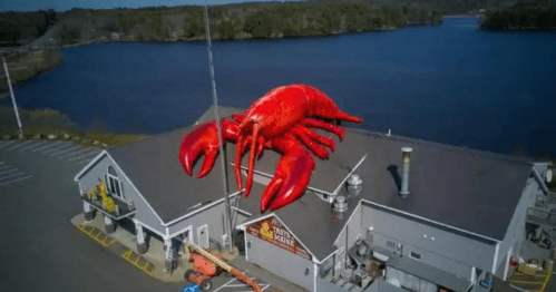 A large red lobster sculpture atop a building near a lake, with trees in the background and a clear blue sky.