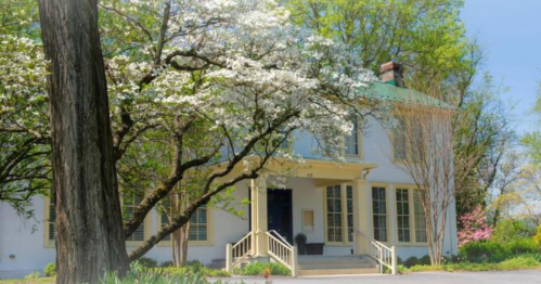 A charming white house with a green roof, surrounded by blooming trees and lush greenery on a sunny day.