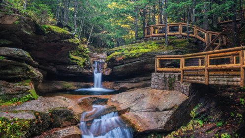 a serene scene of a double waterfall cascading down rocky ledges and a staircase hiking trail all surrounded by trees