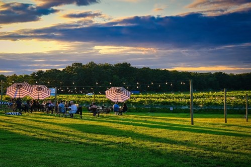 A vineyard at sunset with people sitting under striped umbrellas, string lights, and lush green fields in the background.