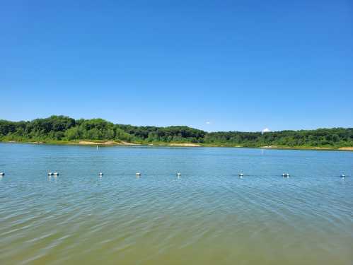 A serene lake scene with clear blue water, green trees in the background, and a bright blue sky.