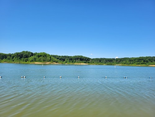A serene lake scene with clear blue water, green trees in the background, and a bright blue sky.