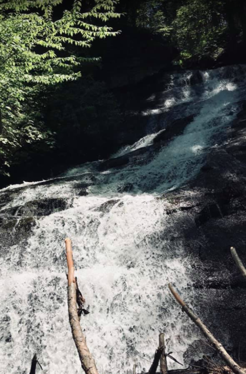 A cascading waterfall flows over rocky terrain, surrounded by lush green foliage.