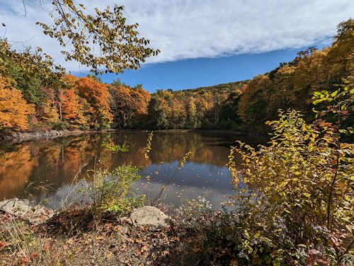 A serene pond surrounded by vibrant autumn foliage under a clear blue sky.