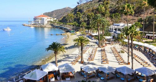 A scenic beach view with palm trees, lounge chairs, and a coastal building along the water's edge.