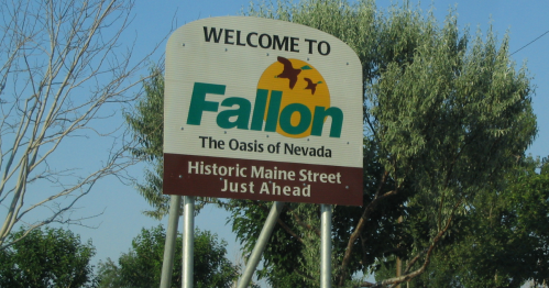 A "Welcome to Fallon" sign in front of a large green tree.