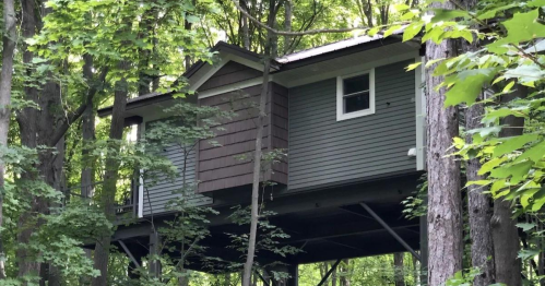 A modern house elevated on stilts, surrounded by lush green trees in a forested area.