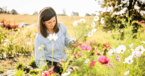 A woman in a light blue shirt examines flowers in a vibrant garden under bright sunlight.