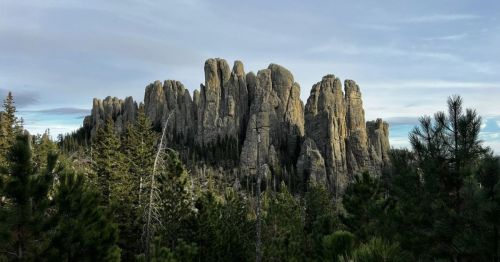 A rugged mountain formation rises above a dense forest of evergreen trees under a cloudy sky.