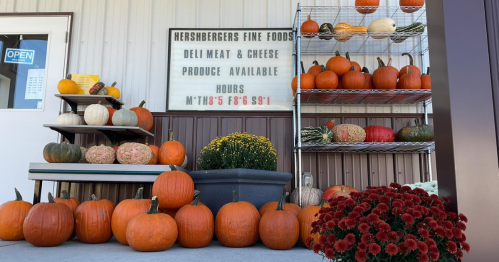 A display of pumpkins and flowers outside a store, with a sign listing hours and available products.