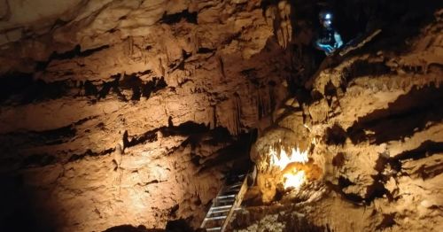 A dimly lit cave with rock formations, a person in a helmet, and a wooden ladder leading deeper into the cave.