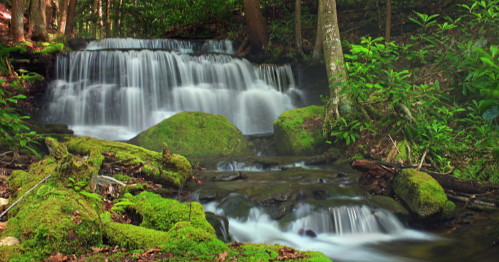A serene waterfall cascades over moss-covered rocks, surrounded by lush green foliage in a tranquil forest setting.