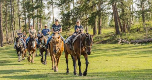 A group of people riding horses along a grassy path in a forested area on a sunny day.