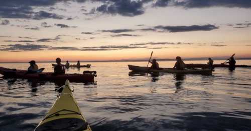 Silhouetted kayakers on calm water at sunset, with vibrant clouds reflecting in the sky.