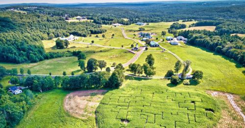 Aerial view of a rural landscape with fields, houses, and winding roads surrounded by trees and greenery.