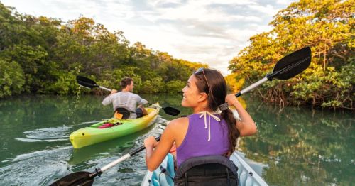 Two people kayaking through a serene mangrove area, surrounded by lush greenery and a calm waterway.