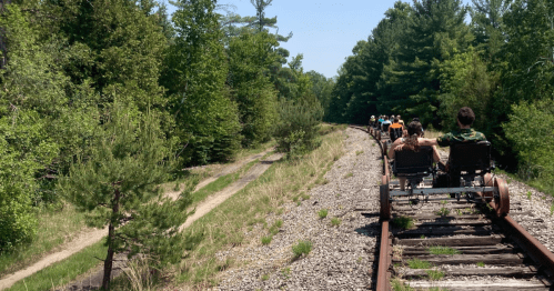 A group of people riding on a rail bike along a tree-lined railway track on a sunny day.