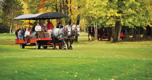 A horse-drawn carriage carries passengers through a scenic, colorful autumn landscape.