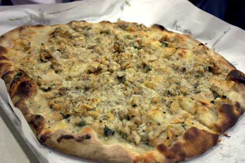 A freshly baked pizza topped with a creamy sauce, chunks of chicken, and herbs on a golden crust.